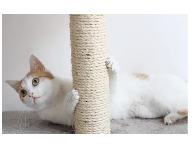 1 Rollo Cabuya Mecate Cuerda Soga De Yute Fique Ecologica