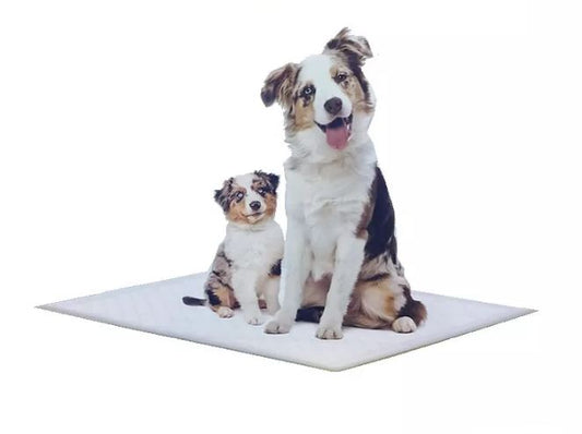 10 Tapetes Absorbentes Entrenamiento Mascota Perros Cachorro